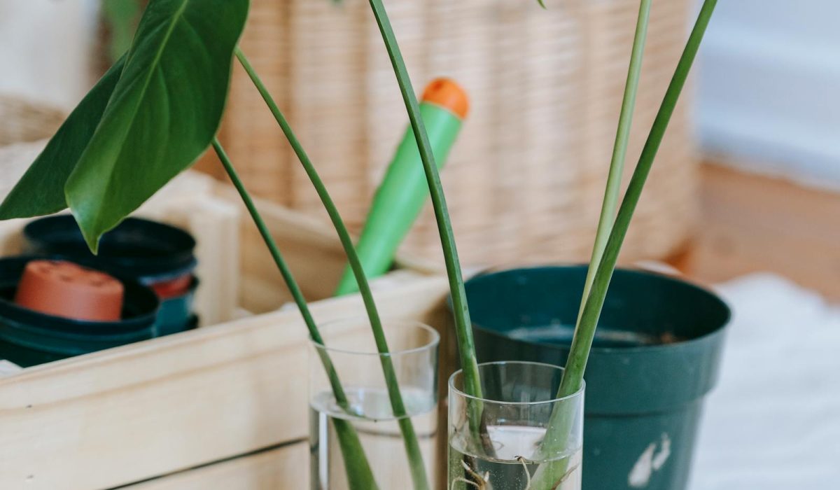 The Family Calendar Approach to Sustainability