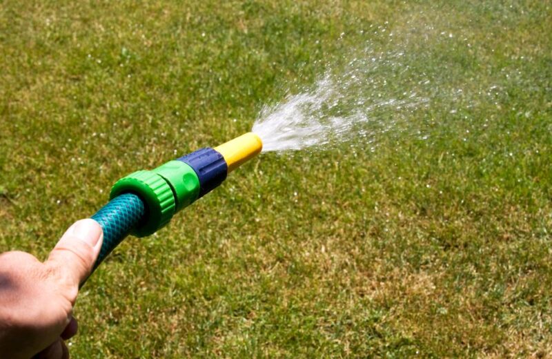 Garden hose watering grass on a sunny day, illustrating outdoor greywater irrigation.