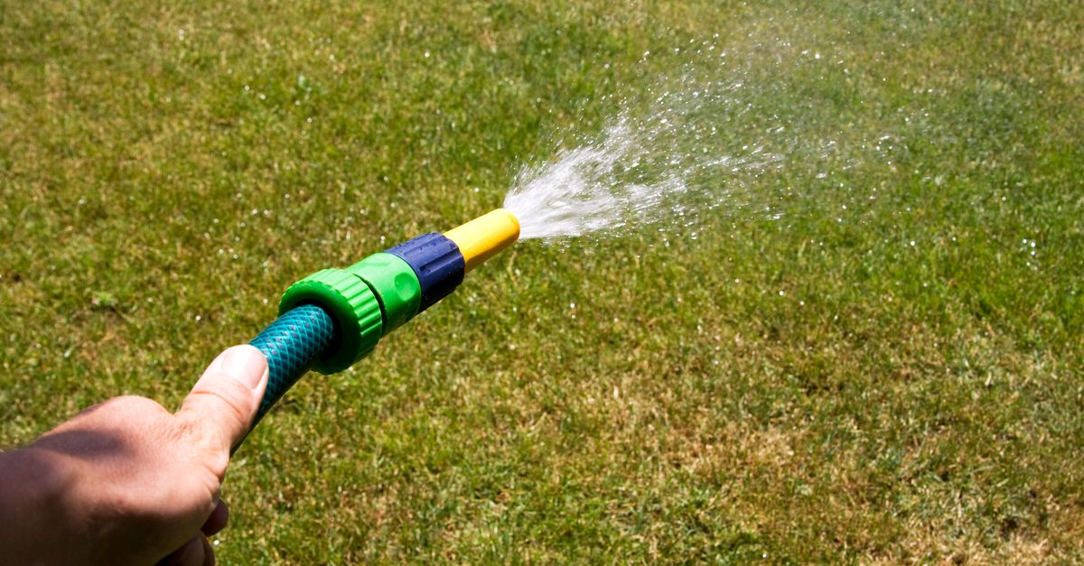 Garden hose watering grass on a sunny day, illustrating outdoor greywater irrigation.