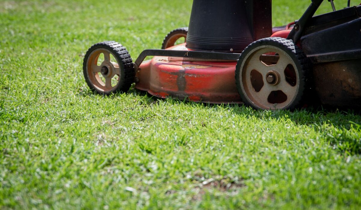 Push mower cutting green grass at a taller mowing height to conserve lawn water