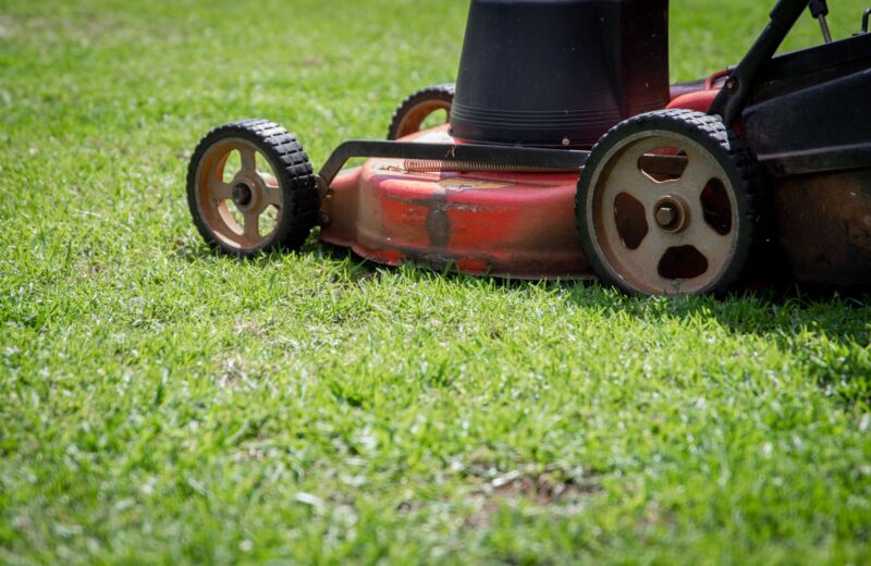 Push mower cutting green grass at a taller mowing height to conserve lawn water