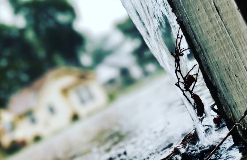 Rainwater flowing from a metal gutter downspout during a rainstorm, showing the runoff that a first flush diverter would divert before it reaches a storage tank