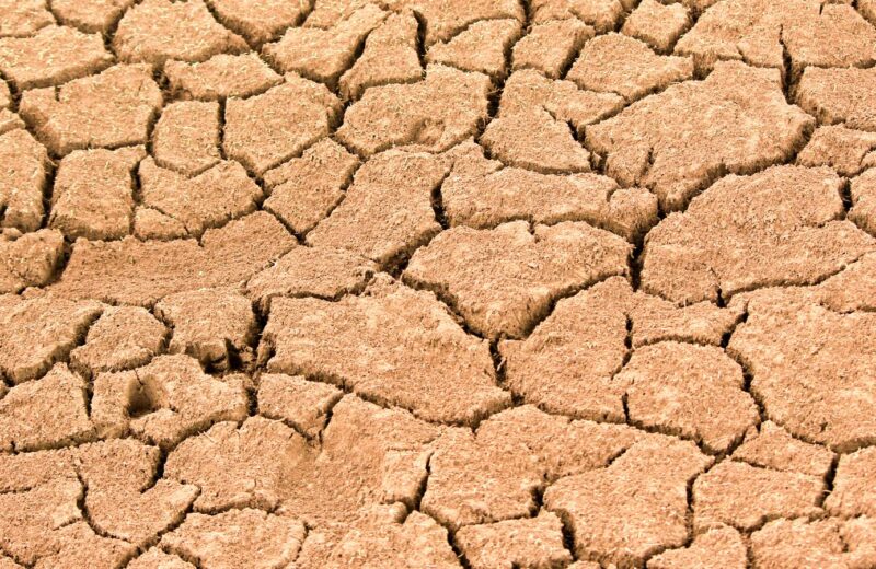 Cracked dry earth in a drought-affected US region illustrating water scarcity pressure